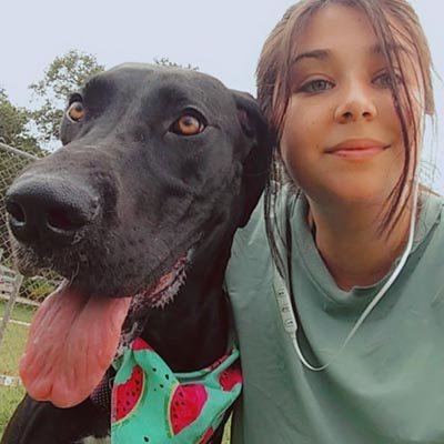dog-sitter-in-largo-fl dog sitter in largo fl