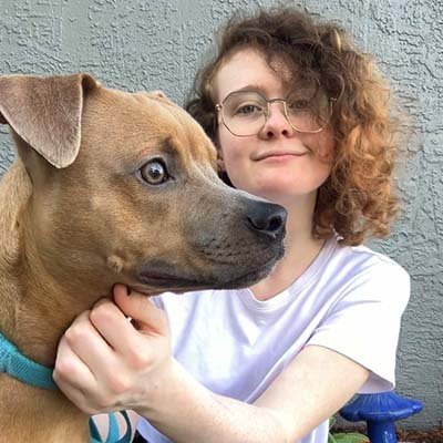 overnight pet sitting in Clearwater FL