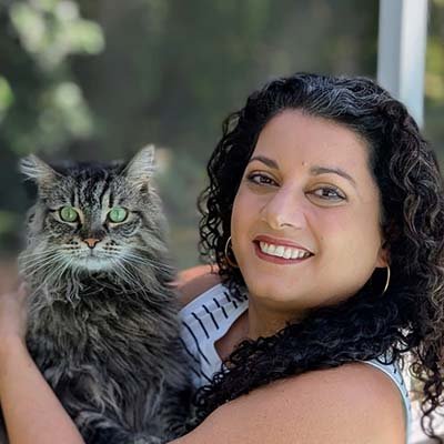 overnight pet sitting in Dunedin FL