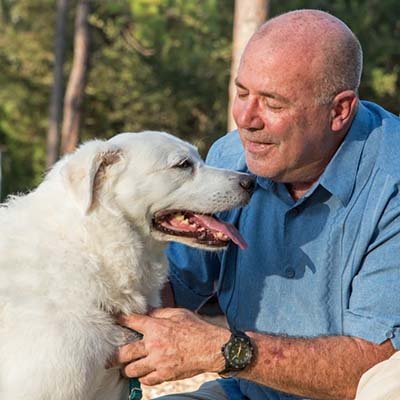 Pet Sitting in Largo FL