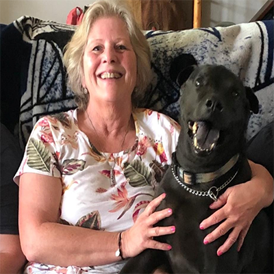 Dog Care Service in Clearwater FL